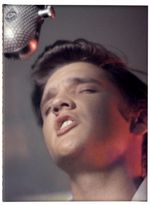 Elvis-and-the-Birth-of-Rock-and-Roll