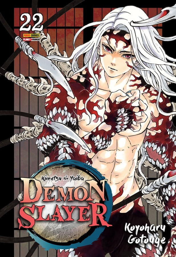 Demon Slayer - Kimetsu no Yaiba - Vol.22